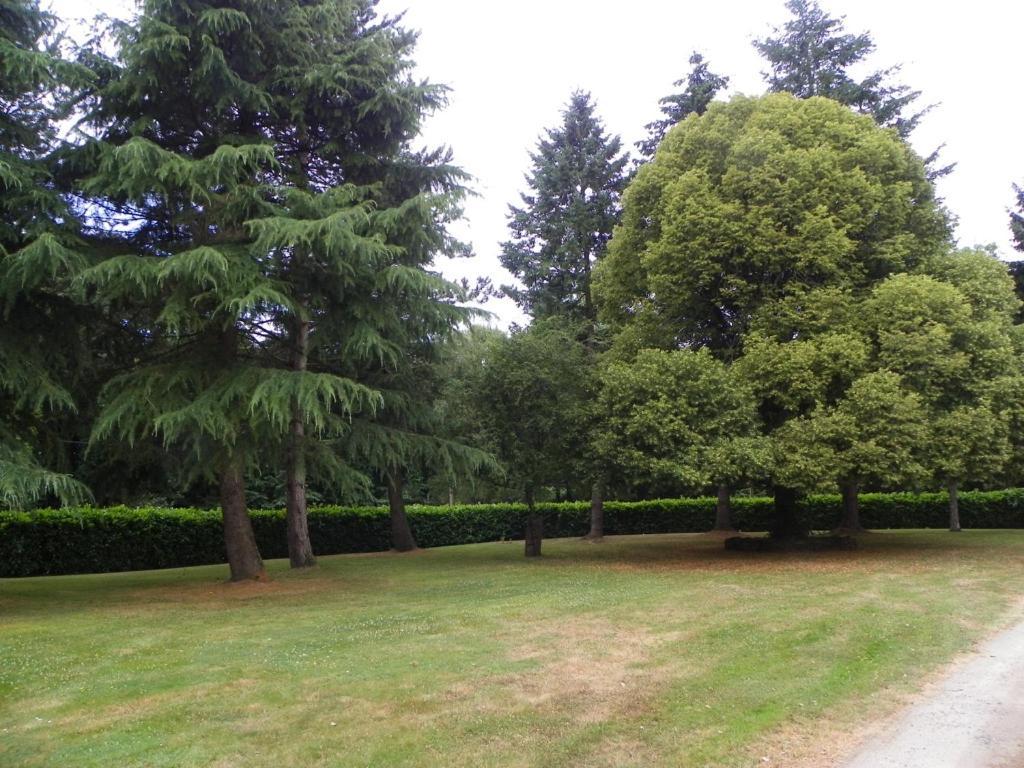 Malansac Manoir De Saint-Fiacre Bed & Breakfast エクステリア 写真