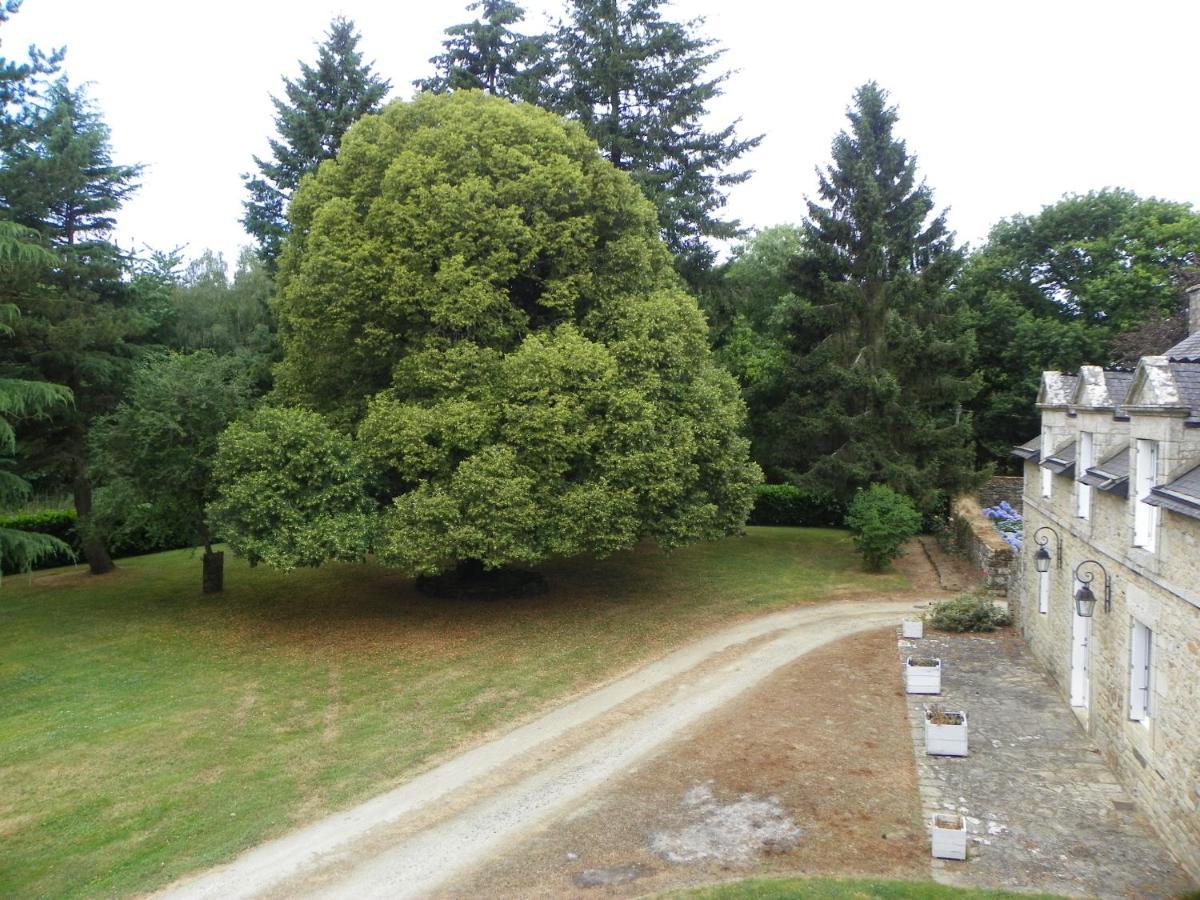 Malansac Manoir De Saint-Fiacre Bed & Breakfast エクステリア 写真